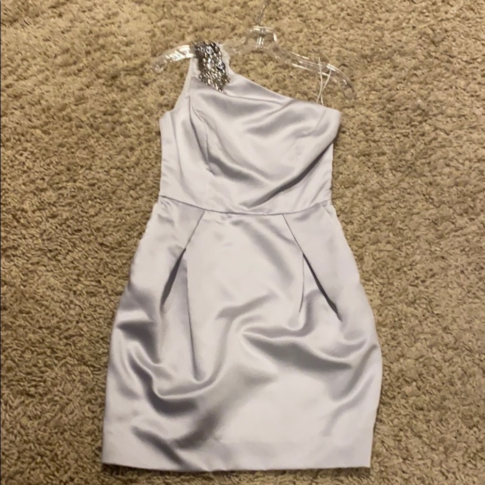 Beautiful Silver Badgley Mischka Collection One Shoulder Rhinestone Dress